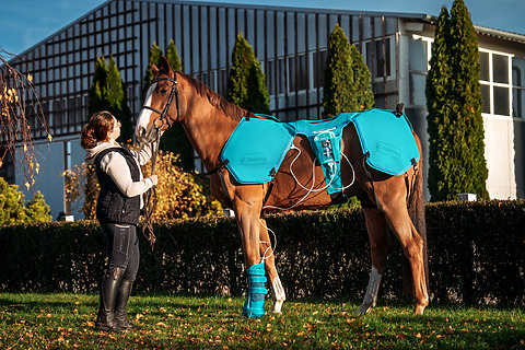 Biomag Lumina 3D-e VET - effective PEMF therapy for horses