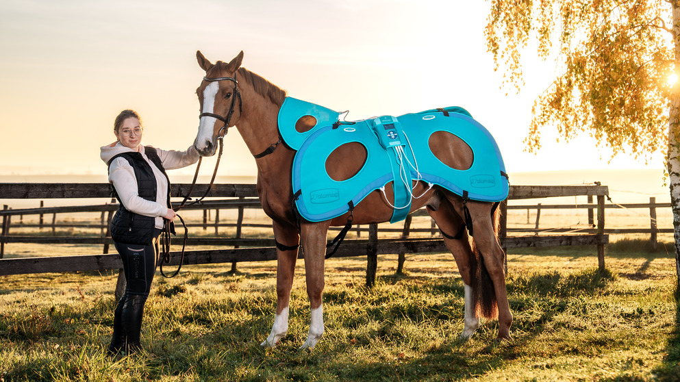 New generation of veterinary magnetotherapy Biomag