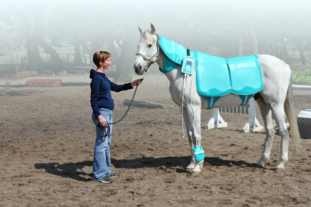 Appareils de magnétothérapie vétérinaire